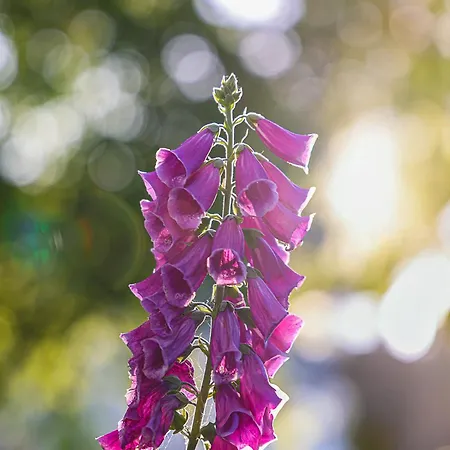 Apartmán Helle 4 Zkb Mit Balkon In Wittlich