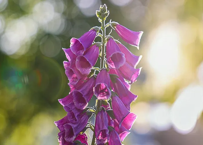 דירה Helle 4 Zkb Mit Balkon In וויטליך