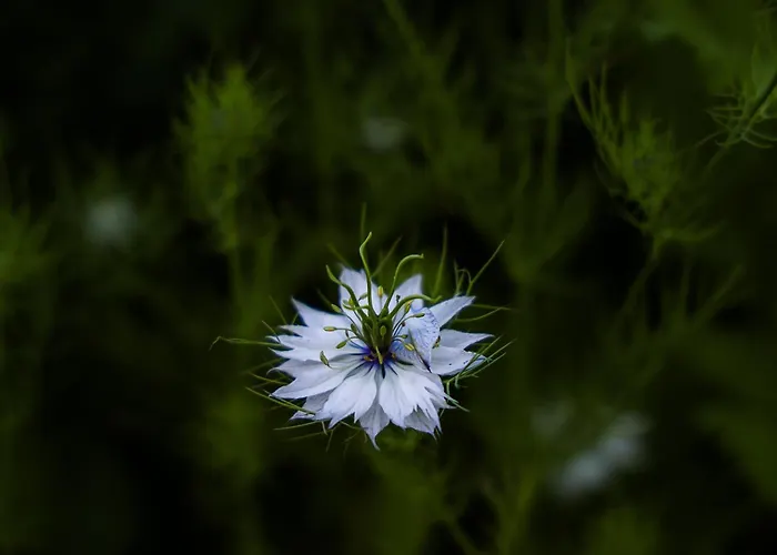 דירה Helle 4 Zkb Mit Balkon In וויטליך
